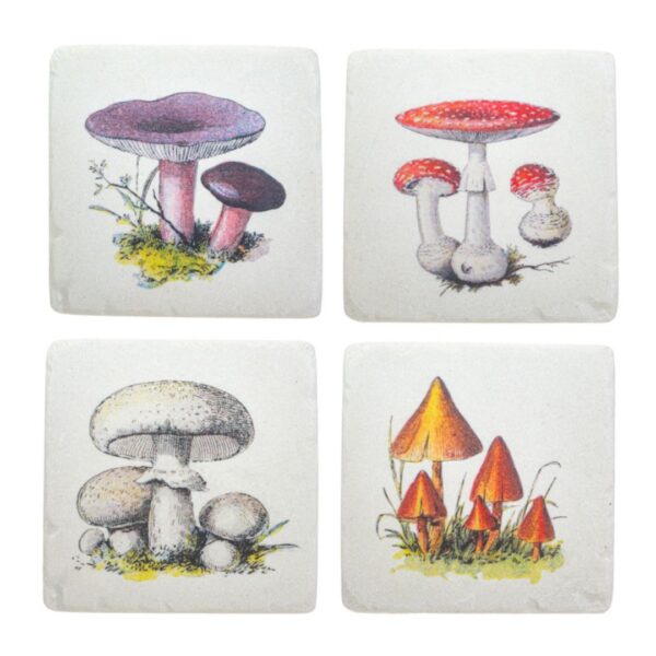 Vintage paddenstoelen onderzetters